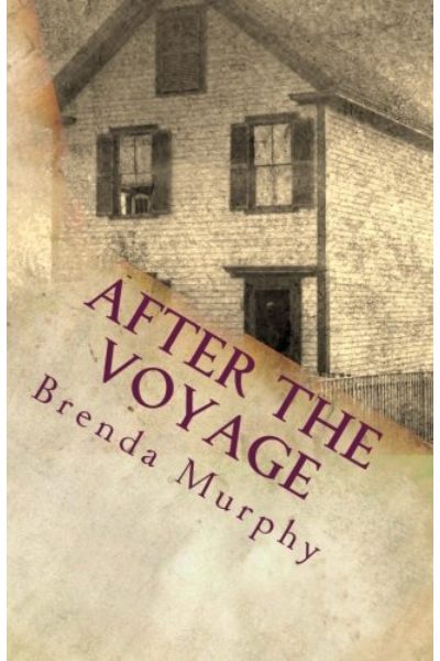 After the Voyage: An Irish American Story book cover