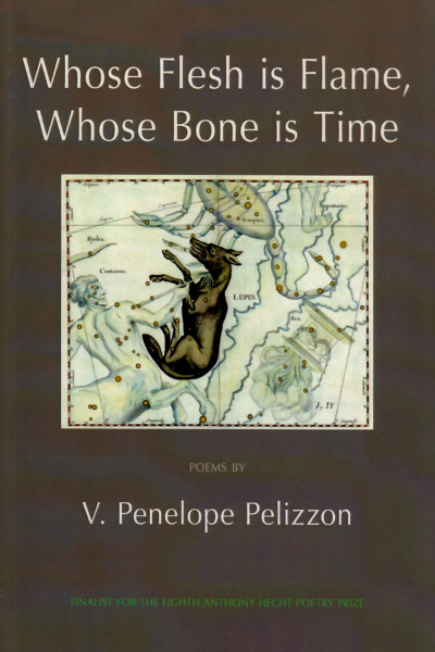 Whose Flesh Is Flame, Whose Bone Is Time: Poems book cover